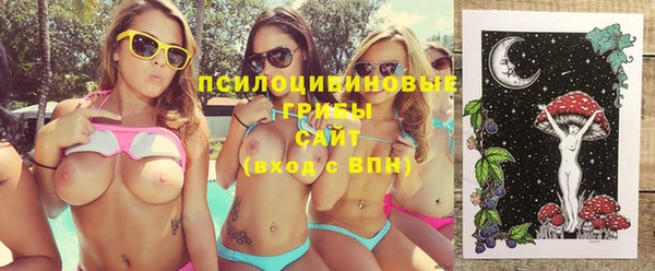 СК Новодвинск