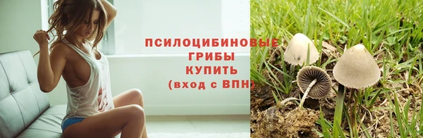 мескалин Нефтекумск