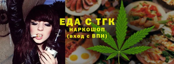 СК Новодвинск